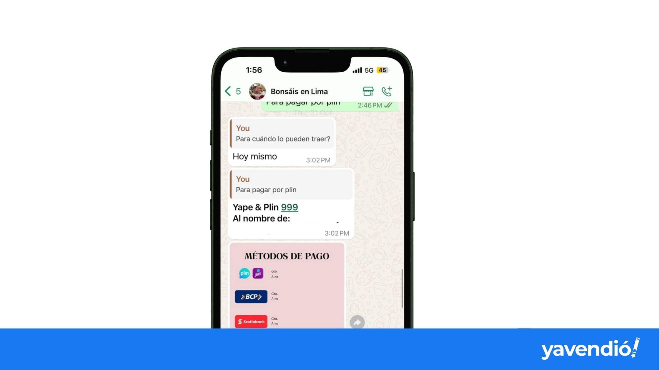 WhatsApp payment collection message shown on a phone mockup